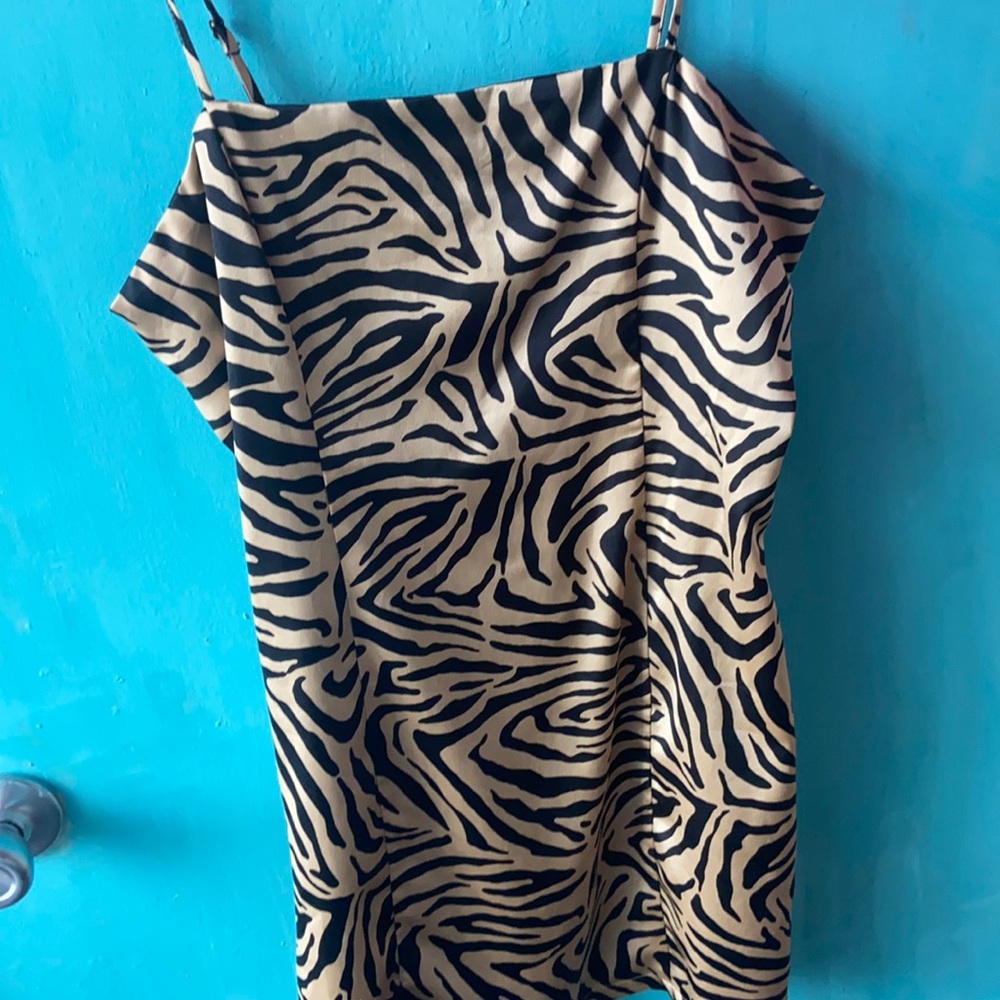 zebra striped dress